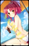 真・恋姫†夢想-革命- 劉旗の大望　DLコード版