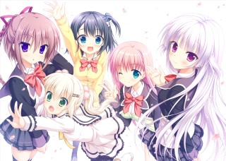 はつゆきさくら 10周年 アニバーサリーエディション