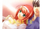 君が望む永遠 ～Enhanced Edition R～ 初回生産版