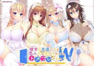 彼女(ヒロイン)は友達ですか?恋人ですか?それともトメフ...