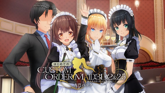はじめてのカスタムオーダーメイド3D2&2.5 入門パック