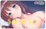 1/1彼氏彼女 初回限定版の特典情報