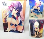-KATANA Project CompleteBox- 煌花絢爛