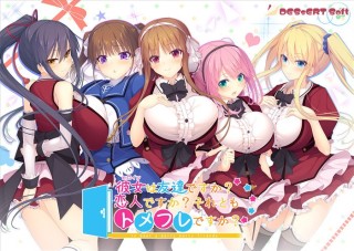 彼女(ヒロイン)は友達ですか?恋人ですか?それともトメフ...