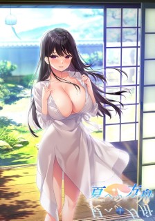 夏への方舟1 描き下ろし抱き枕カバー付き