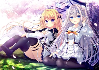 D.C.5 Plus Happiness ～ダ・カーポ5...
